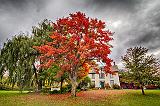 Autumn Heritage House_46144-9